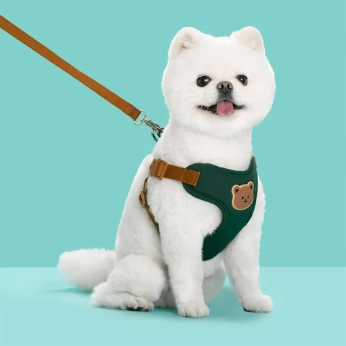 Creative Cute Pet Harness